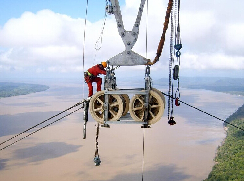飞鸽葫芦在巴西亚马孙